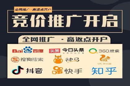 成功SEM竞价托管案例分析报告